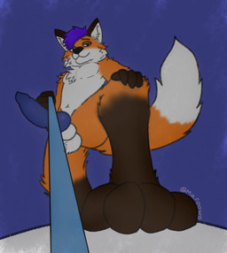 animal_genitalia animal_penis anthro balls bedroom_eyes brown_body brown_fur canine_genitalia canine_penis erection fluffy fluffy_balls fluffy_hair fluffy_tail fur genitals hair hand_on_knee hand_on_leg knot knotted_penis leash leash_pull leashed_viewer looking_down male narrowed_eyes orange_body orange_fur paws penis purple_hair seductive sheath smile smirk solo standing_on_another stepped_on tail white_body white_fur mafoowo thomas_the_fox canid canine fox mammal hi_res