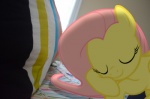 bed day equid equine eyes_closed feathered_wings feathers female feral fluttershy_(mlp) friendship_is_magic furniture hair hasbro hi_res mammal mixed_media my_little_pony mythological_creature mythological_equine mythology pegasus pillow pink_hair ponies_in_real_life real sleeping solo unknown_artist wings yellow_body yellow_feathers