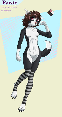 anthro black_clothing black_collar black_legwear black_stockings bone_collar_tag brown_hair clothing collar collar_tag digitigrade ear_piercing ear_ring female fur gold_(metal) gold_ear_ring hair happy legwear multicolored_body multicolored_fur multicolored_hair nude nude_female pattern_clothing pattern_legwear pattern_stockings piercing pink_eyes pink_nose ring_piercing solo standing stockings striped_clothing striped_legwear striped_stockings stripes tail text text_on_collar_tag wearing_collar mrowley66 pawty border_collie canid canine canis collie domestic_dog herding_dog mammal pastoral_dog sheepdog absurd_res hi_res model_sheet