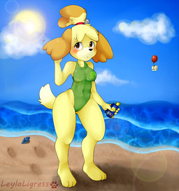 2013 animal_crossing anthro beach blush box brown_hair canine dog female hair isabelle_(animal_crossing) leylaligress nintendo one-piece seaside solo sunscreen video_games yellow_fur
Rating: Safe
Score: 8
User: Falord
Date: July 20, 2013