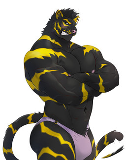 anal anthro black_body black_fur blush bulge clothed clothing fur male muscular muscular_male nipples simple_background solo standing stripes tail thong thong_only topless underwear underwear_only yellow_stripes unknown_artist felid mammal pantherine tiger absurd_res hi_res
