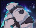 anthro belly biped clothed clothing kemono male night outside overweight overweight_anthro overweight_male solo star chisa_sa canid canine canis domestic_dog mammal 2020