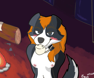 anthro aroused aroused_face blue_eyes blush bra breasts campfire camping candy clothing dessert female food fur gem hair jewelry log looking_aroused marshmallow multicolored_body multicolored_fur necklace orange_hair pearl_(gem) pearl_necklace solo underwear wood nmf_guy terzia_(nmf_guy) border_collie canid canine canis collie domestic_dog herding_dog mammal pastoral_dog sheepdog 6:5 hi_res