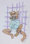 anthro bdsm bondage bound diaper male muzzle_(object) muzzled object_in_mouth pacifier pacifier_in_mouth padded_room restraints solo straitjacket jjpuppnstuf canid canine canis coyote mammal hi_res