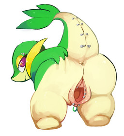 anus big_butt butt clitoris clitoris_piercing female feral furry-specific_piercing gaping gaping_pussy genital_piercing green_skin looking_at_viewer looking_back nintendo piercing plain_background plump_labia pokémon presenting presenting_hindquarters presenting_pussy purple_eyes pussy raised_tail rear_view snivy solo spread_pussy spreading tail_piercing tingtongten video_games white_background white_belly yellow_skin
Rating: Explicit
Score: 19
User: Hydr0
Date: January 07, 2015 anus big_butt butt clitoris clitoris_piercing female feral furry-specific_piercing gaping gaping_pussy genital_piercing green_skin looking_at_viewer looking_back nintendo piercing plain_background plump_labia pokémon presenting presenting_hindquarters presenting_pussy purple_eyes pussy raised_tail rear_view snivy solo spread_pussy spreading tail_piercing tingtongten video_games white_background white_belly yellow_skin
Rating: Explicit
Score: 19
User: Hydr0
Date: January 07, 2015