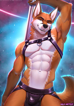anthro clothing dancing fur harness jockstrap male orange_body orange_fur pole pole_dancing solo underwear white_body white_fur milo_nettle scott_(scottthefox94) canid canine fox humanoid mammal hi_res