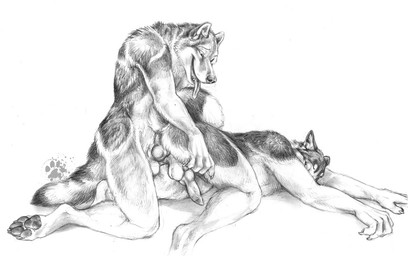 anal anal_penetration animal_genitalia animal_penis anthro ass_up balls canine_genitalia canine_penis claws duo erection finger_claws from_behind_position fur genitals kneeling knot knotted_penis leapfrog_position male male/male nude nude_anthro nude_male pawpads paws penetration penile penile_penetration penis penis_in_ass pointy_ears prick_ears sex simple_background tail toe_claws tongue tongue_out white_background blotch scratches_volume_4 canid canine canis domestic_dog husky mammal nordic_sled_dog spitz wolf 2010 monochrome traditional_media_(artwork)