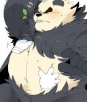 ambiguous_gender anthro belly black_body black_fur blush duo fondling fur heavy_petting humanoid_hands leaf overweight simple_background solo_focus white_background white_body white_fur hyaku_(artist) nintendo pokemon bear generation_6_pokemon mammal pangoro pokemon_(species) 2019