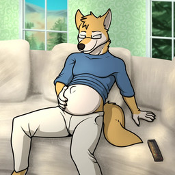 anthro belly big_belly clothed clothing controller eyewear fetal_movement furniture glasses growth inside male pregnant pregnant_anthro pregnant_male rapid_pregnancy remote_control sofa solo trashbadger server_dingo canid canine canis dingo mammal 1:1 2026 animated animated_webp