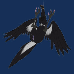 anthro anus arms_above_head bdsm bodily_fluids bondage bound butt crying cum cumshot ejaculation feathered_wings feathers folded genital_fluids genitals legs_up male nude penis presenting presenting_hindquarters restraints rope rope_bondage solo tapering_penis tears wings neko_redwing ike_(neko_redwing) avian bird corvid magpie_(corvid) oscine passerine 1:1 absurd_res alpha_channel hi_res