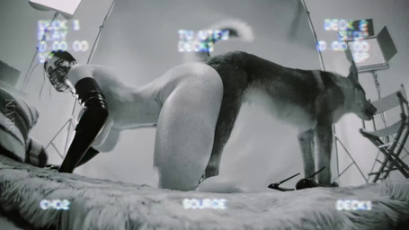 ambiguous_penetration animal_genitalia animal_penis ass_to_ass bestiality big_knot big_penis bodily_fluids breasts camera_flash canine_genitalia canine_penis cum cum_in_vagina cum_inside duo erection female female_on_feral female_penetrated feral feral_penetrating feral_penetrating_human genital_fluids genitals human_on_feral human_penetrated interspecies knot knotted_penis knotting making_porn male male/female male_penetrating male_penetrating_female obscured_penetration penetration penile penile_penetration penis pull_out recording recording_video reverse_doggystyle sex studio studio_lights tail unknotting sound_warning srvn canid canine canis domestic_dog german_shepherd herding_dog human mammal pastoral_dog 3d_(artwork) 3d_animation absurd_res animated digital_media_(artwork) hi_res short_playtime sound webm