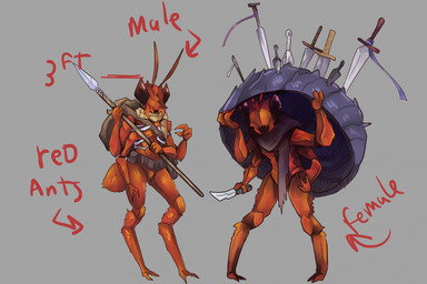 4_arms antennae_(anatomy) anthro arthropod_abdomen backpack bent_legs big_eyes clothing compound_eyes dagger duo exoskeleton featureless_chest featureless_crotch female flat_chested knife male mandibles melee_weapon mostly_nude multi_arm multi_limb polearm scarf scarf_only shell short spear sword weapon ssleepyflowers ant arthropod fire_ant hymenopteran insect hi_res model_sheet