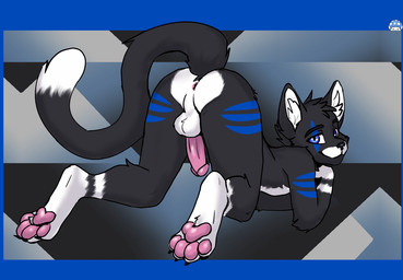 anthro anus backsack balls butt dipstick_tail genitals male markings pawpads penis scar solo tail tail_markings teasing teasing_viewer daniru17 domestic_cat felid feline felis mammal tuxedo_cat