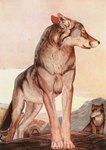 ambiguous_gender brown_body brown_fur digitigrade duo feral fur male nude outside quadruped standing john_lockwood_kipling public_domain the_jungle_book akela canid canine canis mammal wolf 1895 19th_century ancient_art hi_res traditional_media_(artwork)