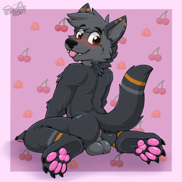anthro anus balls blep blush brown_eyes butt genitals male markings nude pawpads solo tongue tongue_out gaokun shadow_(shadow_fox) 1:1 absurd_res hi_res