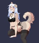 anthro belly blue_background blue_eyes blue_hair blush bra breasts brown_body brown_fur butt claws cleavage clothed clothing collar curled_tail eyebrows eyelashes fangs female finger_claws fingers floppy_ears fluffy fluffy_tail fur garter_belt garter_straps glistening glistening_clothing hair kneeling leaning leaning_forward legwear lingerie long_hair looking_at_viewer markings moon_(marking) open_mouth panties piercing pink_nose pregnant pregnant_anthro pregnant_female simple_background solo spots star_(marking) stockings tail tan_body tan_fur teeth thick_thighs three-quarter_view tongue tongue_piercing underwear white_body white_fur bindweed_(artist) luna_yaeger canid canine canis domestic_dog mammal 2023 absurd_res hi_res