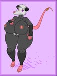anthro big_breasts big_butt big_pussy border breasts butt curvy_figure female fur furgonomics furry-specific_piercing genitals grey_body grey_fur hand_on_breast hand_on_leg hand_on_thigh huge_breasts huge_butt huge_thighs hyper hyper_breasts looking_at_viewer nipple_piercing nipples nude nude_female piercing pink_body pink_nipples pink_skin pubes pussy solo svg tail tail_piercing thick_thighs transparent_border vector voluptuous white_body white_fur wide_hips yogurtbeans viola_(yogurtbeans) american_opossum mammal marsupial absurd_res aliasing alpha_channel digital_drawing_(artwork) digital_media_(artwork) hi_res