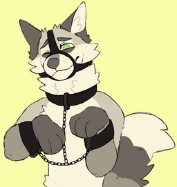 anthro arm_restraints bdsm bondage bound chain collar cuff_(restraint) fur green_eyes male muzzle_(object) muzzled restraints smile solo tail rookspirit max_(rookspirit) canid canine canis domestic_dog fox mammal wolf
