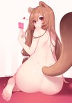 accessory brown_hair brown_tail butt condom female fluffy fluffy_tail hair hair_accessory long_hair nude nude_female nude_humanoid rear_view sexual_barrier_device simple_background solo tail nanoless the_rising_of_the_shield_hero raphtalia animal_humanoid humanoid mammal procyonid raccoon absurd_res hi_res