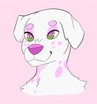 anthro femboy floppy_ears fur solo white_body white_ears white_fur clion clion_(character) canid canine canis dalmatian domestic_dog mammal hi_res