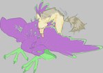 ambiguous_gender ambiguous_penetrated duo feral feral_on_feral feral_penetrated feral_penetrating feral_penetrating_feral interspecies male male/ambiguous male_penetrating male_penetrating_ambiguous penetration sex guncht maverick_(guncht) rue_(guncht) avian bird canid canine canis jackal mammal pelecaniform shoebill