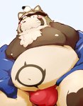 anthro asian_clothing belly big_belly blush brown_body bulge clothing east_asian_clothing fundoshi japanese_clothing kemono male moobs navel nipples overweight overweight_male red_clothing red_fundoshi red_underwear solo underwear kumazawow torausimuma7 lifewonders live_a_hero shoen canid canine mammal raccoon_dog tanuki 2022 hi_res