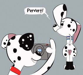 animal_genitalia animal_vulva anus camera canine_genitalia canine_vulva collar duo female feral genitals male male/female smile spots taking_picture toony vulva soggygoat 101_dalmatian_street 101_dalmatians disney dolly_(101_dalmatians) dylan_(101_dalmatians) canid canine canis dalmatian domestic_dog mammal hi_res