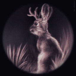 2_horns ambiguous_feral ambiguous_gender antlers black_border border camera_view ears_up eye_markings feral fur fur_markings grass head_turned horn markings night on_hind_legs plant quadruped rabbit_ears sitting solo text louceph jackalope lagomorph mammal 1:1 2018 artist_name digital_media_(artwork) digital_painting_(artwork) english_description half-length_portrait hi_res monochrome painting_(artwork) portrait