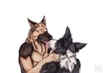 anthro anthro_on_anthro arm_tuft black_body black_fur black_nose brown_body brown_fur cheek_tuft duo facial_tuft fangs french_kissing fur kissing licking_tongue logo male male/male neck_tuft orange_eyes red_tongue shoulder_tuft simple_background tan_body tan_fur teeth tongue tongue_out tuft white_background white_body white_fur kola_(artist) border_collie canid canine canis collie domestic_dog german_shepherd herding_dog mammal pastoral_dog sheepdog 2023 artist_logo dated painting_(artwork) traditional_painting_(artwork) traditional_watercolor_(artwork) watercolor_(artwork)