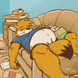 4_fingers anthro belly bottomwear box clothed clothing container empty_bottle eyes_closed fingers furniture hand_on_belly lying lying_on_sofa male navel on_sofa open_bottomwear open_clothing open_pants overweight pants pizza_box pubes satisfied sofa solo stuffing wardrobe_malfunction whiskers juan_atoq atoq_(juanatoq) canid canine culpeo_fox fox mammal south_american_fox 1:1 hi_res signature