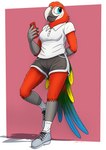 athletic_wear bottomwear breasts clothed clothing collared_shirt dolphin_shorts female footwear fully_clothed gym_bottomwear gym_shorts medium_breasts polo_shirt shirt shoes shorts solo topwear fish_birb samantha_(fish_birb) avian bird macaw neotropical_parrot parrot true_parrot absurd_res hi_res