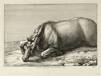 corpse death feral fur grass head_on_ground lying male mane on_front outside plant sky solo jan_van_huchtenburg public_domain equid equine horse mammal absurd_res hi_res
