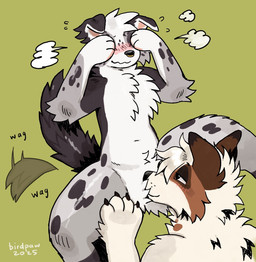 >_< ambiguous/ambiguous ambiguous_anthro ambiguous_gender anthro anthro_on_anthro arm_tuft black_claws black_nose blush breath brown_body brown_ears brown_fur brown_spots brown_tail button_ears cheek_tuft chest_tuft claws countershading covering covering_eyes covering_face crotch_sniffing crotch_tuft duo elbow_tuft eyes_closed face_on_crotch facial_piercing facial_tuft floppy_ears fur green_background grey_body grey_fur hair half-closed_eyes handpaw markings multicolored_eyes narrowed_eyes navel nose_piercing nose_ring nude_ambiguous nude_anthro null null_stimulation onomatopoeia paws piercing ring_piercing simple_background sniffing snout_on_crotch sound_effects spots spotted_body spotted_fur spotted_legs tail tail_motion tailwag tan_body tan_fur tan_hair text tuft two_tone_eyes wavy_mouth white_body white_countershading white_ears white_fur birdpaw_(artist) canid canine canis collie domestic_dog herding_dog mammal pastoral_dog sheepdog 2025 artist_name dated digital_drawing_(artwork) digital_media_(artwork) hi_res