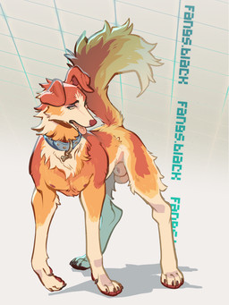 5_toes animal_genitalia balls blue_collar blue_eyes collar collar_only dark_eyelids dog_tags feet feral floppy_ears fluffy fluffy_tail folded_ears fur genitals half-closed_eyes looking_at_viewer male narrowed_eyes neck_tuft nude orange_body orange_fur pecs raised_tail shadow sheath simple_background solo tail toes tongue tongue_out tuft white_background white_balls white_body white_fur fangs.black canid canine canis domestic_dog mammal 3:4 hi_res