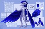 4_toes 5_fingers anthro biped blue_background blue_body blue_feathers blue_hair claws feathered_wings feathers featureless_crotch feet female fingers flat_chested front_view grey_body hair horn lizard_tail mane mane_hair multi_pupil multicolored_pupils pupils rear_view ridged_horn sharp_teeth simple_background snout solo standing tail tail_feathers teeth text toes unusual_pupils winged_arms wings lauralien arkenetash alien elemental_creature mineral_fauna 2013 digital_media_(artwork) digital_painting_(artwork) model_sheet shaded signature soft_shading