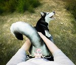 animal_genitalia animal_pussy anus balls bestiality black_body blue_eyes bodily_fluids canine_genitalia canine_pussy clothed clothed_sex clothing cum cum_drip cum_in_pussy cum_inside cum_on_anus cum_on_clothing cum_on_penis cum_on_self doggystyle dripping female feral first_person_view from_behind_position genital_fluids genitals human_on_feral humanoid_genitalia humanoid_penis interspecies looking_pleasured male male/female male_on_feral nature nature_background orgasm orgasm_face outside penetration penile penile_penetration penis penis_in_pussy pink_anus pink_pussy pussy raised_tail realistic realistic_feral sex tail tongue tongue_out vaginal vaginal_penetration white_body bleghtor canid canine canis domestic_dog human husky mammal nordic_sled_dog spitz 3d_(artwork) digital_media_(artwork) hi_res