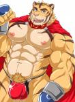 abs anthro barazoku biceps blue_eyes cape clothing fur male multicolored_body multicolored_fur muscular muscular_anthro muscular_male nipples orange_body orange_fur pecs pubes simple_background solo striped_body striped_fur stripes tan_body tan_fur two_tone_body two_tone_fur white_background wasabimayo wasabimayo1129 build_tiger build_tiger_(character) felid mammal pantherine tiger hi_res