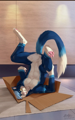 anthro biped blue_body blue_fur box cardboard cardboard_box claws container digitigrade fur male multicolored_body multicolored_fur pawpads paws pink_pawpads solo toe_claws upside_down white_body white_fur yellow_eyes zephyxus domestic_cat felid feline felis mammal 2025 digital_media_(artwork)