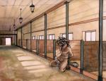 after_sex arms_behind_back back ball_gag balls bound cum cum_on_self equine erection gag horse kneeling looking_at_viewer male mammal nude penis ruaidri solo stable
Rating: Explicit
Score: 11
User: Peekaboo
Date: March 05, 2014