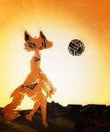 anthro ball bra clothing female fur open_mouth open_smile orange_body orange_fur orange_tail panties smile solo sport tail underwear volleyball volleyball_(ball) naircat domestic_cat felid feline felis mammal 2013