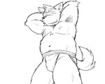 anthro belly blush bulge clothing jockstrap kemono male moobs navel nipples simple_background slightly_chubby solo underwear white_background oogamikennta canid canine canis domestic_dog mammal 2017 5:4 monochrome