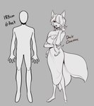 absurd_res animal_humanoid canid canid_humanoid canine canine_humanoid chart dark_chocolate_(glacierclear) digital_drawing_(artwork) digital_media_(artwork) female fox_humanoid foxtrot_(glacierclear) glacierclear greyscale height_chart hi_res humanoid mammal mammal_humanoid monochrome