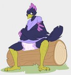 angry anthro clean_diaper clothed clothing diaper dress grumpy log male sitting solo wearing_diaper wood bubblepuppers gambit gambit_(the_corvid) avian bird corvid oscine passerine hi_res