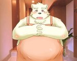 anthro apron belly black_nose blush clothing humanoid_hands inside kemono male overweight overweight_anthro overweight_male photo_background real solo ibuki_haruno bear mammal 2011 photography_(artwork)