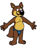 anthro black_nose brown_body bulge clothing humanoid_hands male simple_background solo speedo swimwear white_background neenya canid canine canis mammal wolf 2022 hi_res