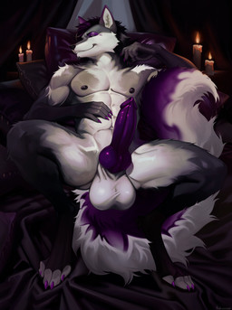 abs alternative_fashion anthro balls big_balls black_hair black_sclera bleak_ambiance candle claws clenched_teeth curtains erection fire fur genitals goth grey_body grey_fur hair knot knotted_penis leather male multicolored_hair muscular muscular_male navel nipples pecs penis pillow pink_body pink_fur purple_penis restrained short_hair solo spread_legs spreading tail teeth hahazzar kitune mythology canid canine fox mammal mythological_canine mythological_creature werecanid werecanine werecreature werewolf hi_res