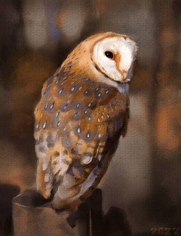 abstract_background beak black_eyes brown_body brown_feathers feathers feral markings mottled mottled_body mottled_feathers orange_body orange_facial_markings orange_feathers solo spots spotted_body spotted_feathers tan_beak tan_body tan_feathers white_face white_spots alexpahomov avian barn_owl bird owl tyto tytonid 2022 digital_media_(artwork) digital_painting_(artwork) digital_watercolor_(artwork) painting_(artwork) watercolor_(artwork)