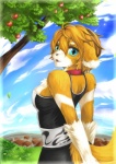 anthro apple biped black_nose blue_eyes canid canine canis clothed clothing cloud domestic_dog female food fruit grass looking_back mammal open_mouth outside pinup plant pose sky solo standing tail tree wood ドク