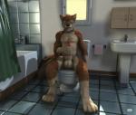 3d_(artwork) 3d_animation animated anthro balls bathroom big_balls big_penis breath canid canine canis digital_media_(artwork) domestic_dog erection genitals h0rs3 knot male mammal masturbation mutt_(wagnermutt) nude panting penile penile_masturbation penis presenting short_playtime solo spread_legs spreading toilet tongue tongue_out