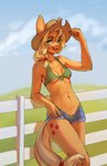 anthro bikini blonde_hair bodily_fluids bottomwear breasts clothing cutie_mark female fur green_eyes hair navel orange_body orange_fur shorts small_breasts solo sweat sweatdrop swimwear two-piece_swimsuit under_boob whale_tail kanahiko friendship_is_magic hasbro my_little_pony applejack_(mlp) animal_humanoid equid equid_humanoid equine equine_humanoid humanoid mammal mammal_humanoid hi_res